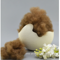 Hot Quality Plush Toy Mango Dog Plush